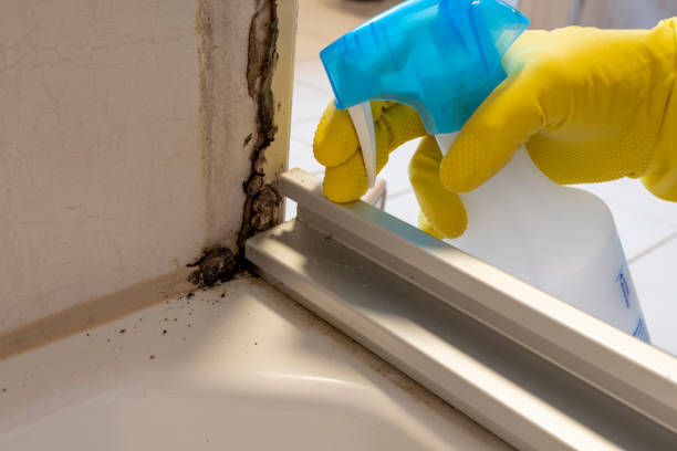 Best Mold Cleaning Services  in Portage, WI