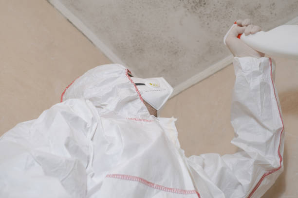 Best Mold Remediation  in Portage, WI