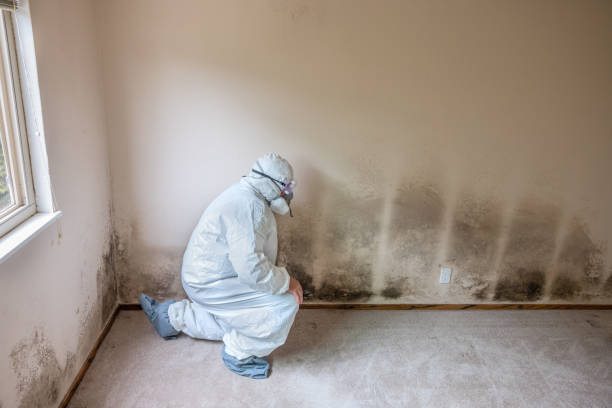 Best Mold Testing  in Portage, WI