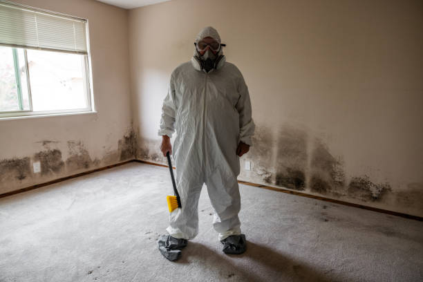 Best Mold Cleaning Services  in Portage, WI